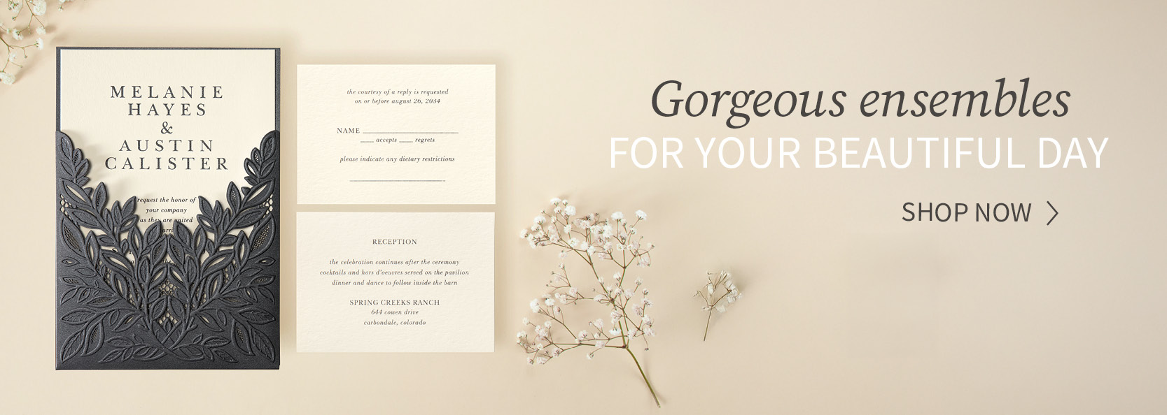wedding ensembles banner